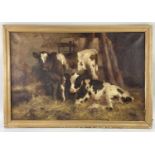 DAVID GAULD R.S.A. (Scottish, 1865-1936), oil on canvas - Ayrshire calves in a barn, signed, 50 x