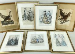 19TH CENTURY FASHION & ORNITHOLOGICAL PRINTS, including two hand-coloured lithographs of falcons