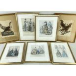 19TH CENTURY FASHION & ORNITHOLOGICAL PRINTS, including two hand-coloured lithographs of falcons