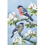 ‡ CHARLES FREDERICK TUNNICLIFFE OBE RA watercolour - study of two bullfinches perched on blossom