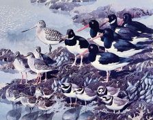 ‡ CHARLES FREDERICK TUNNICLIFFE OBE RA limited edition (136/500) print for the Tryon Gallery -