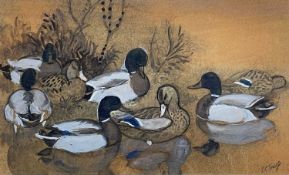 ‡ CHARLES FREDERICK TUNNICLIFFE OBE RA pencil, gouache and wash - group of mallards in wetland,