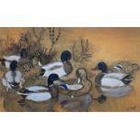 ‡ CHARLES FREDERICK TUNNICLIFFE OBE RA pencil, gouache and wash - group of mallards in wetland,