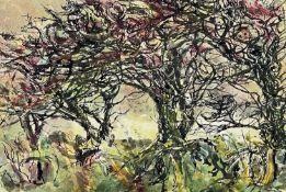 ‡ ARTHUR GIARDELLI watercolour - entitled verso 'Thorn Trees Spring, 1995', monogrammedDimensions: