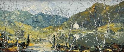 ‡ CHARLES WYATT WARREN oil on board - Eryri mountain landscape with lake, whitewashed cottage and