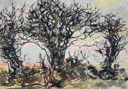 ‡ ARTHUR GIARDELLI watercolour and ink - entitled verso 'Thorn Trees at Dusk', signed