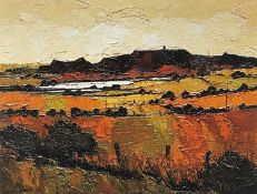 ‡ WILF ROBERTS limited edition (98/100) print - landscape at Mynydd Bodafon, Ynys Mon (Anglesey),