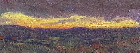 ‡ DAVID LLOYD GRIFFITH oil on board - entitled verso 'Autumn Twilight - Dyffryn Dulas', signed