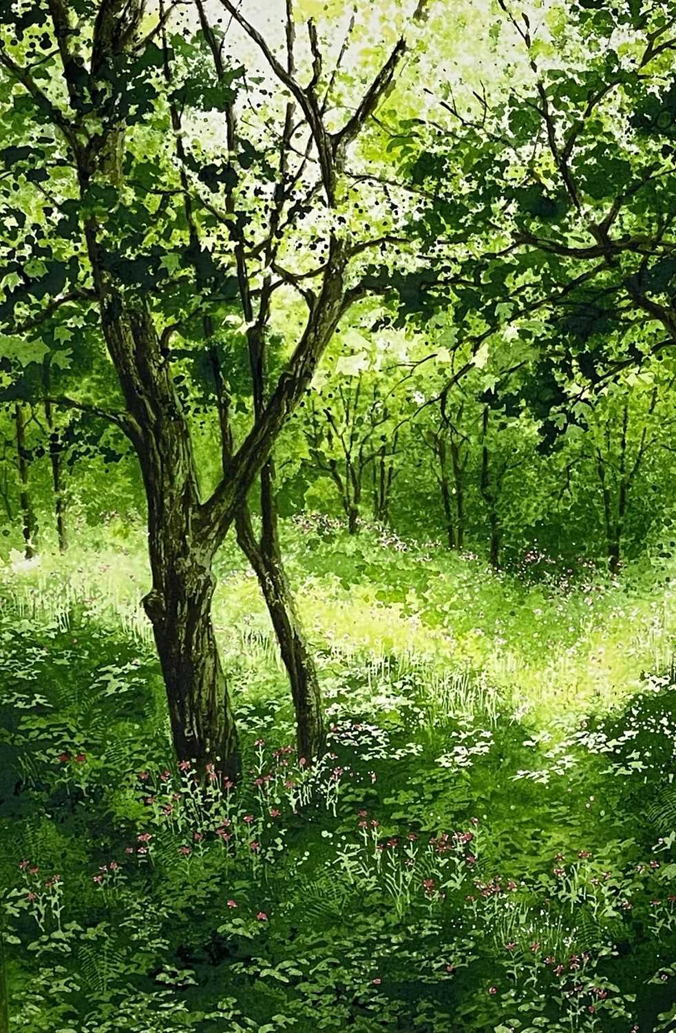 ‡ NAOMI TYDEMAN watercolour - woodland with wildflowersDimensions: 52 x 36cmsProvenance:private