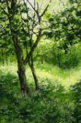 ‡ NAOMI TYDEMAN watercolour - woodland with wildflowersDimensions: 52 x 36cmsProvenance:private