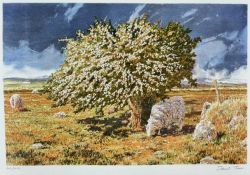 ‡ DAVID TRESS limited edition (209/250) Curwen Studios lithograph - Welsh landscape with sheep,