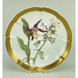 SWANSEA PORCELAIN BOTANICAL DISH circa 1816, cruciform, painted by William Weston Young with a