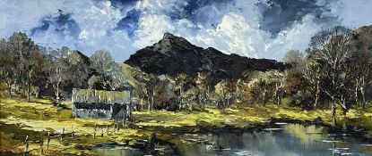 ‡ CHARLES WYATT WARREN oil on board - entitled verso 'Moel Siabod, Nr. Capel Curig',