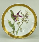 SWANSEA PORCELAIN BOTANICAL DISH circa 1816, cruciform, painted by William Weston Young with a