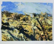 ‡ DAVID TRESS colour print - landscape, signedDimensions: 72 x 88cmsProvenance:private collection