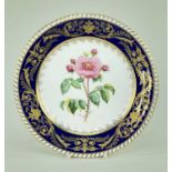 BONE CHINA BOTANICAL CABINET PLATE BY STEFAN NOWACKI, painted with full blown specimen rose,