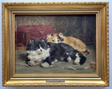 CHARLES VAN DEN EYCKEN (Belgian, 1859-1823) oil on board - cats with sewing tape, signed and dated