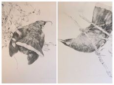 RAYMOND HARRIS CHING numbered prints (2) - ornithological related, signed and numbered, 43 x 32cms
