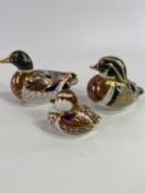 ROYAL CROWN DERBY PORCELAIN PAPERWEIGHTS (3) - to include a boxed duckling, unboxed mallard, both