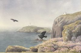 PHILLIP SNOW watercolour - South Stack with birds in flight to the foreground, signed and dated '91,