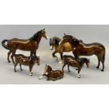 ROYAL DOULTON HORSES/PONIES - 21cms the tallest and a model of a Welsh Cob/Shire Horse