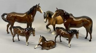 ROYAL DOULTON HORSES/PONIES - 21cms the tallest and a model of a Welsh Cob/Shire Horse