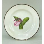 SWANSEA PEARLWARE BOTANICAL PLATE, decorated by Thomas Pardoe botanical study of 'Two Leaved