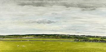 BRITISH SCHOOL oil on board - landscape with grazing sheep and distant houses, unsigned, 40 x