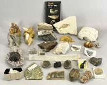 INTERESTING FOSSIL, MINERAL & CRYSTAL ROCK COLLECTION - including ammonites, trilobite