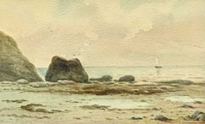 WARREN WILLIAMS A.R.C.A. watercolour - Anglesey coastal scene with rocks, seagulls and distant