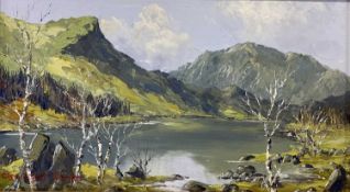 CHARLES WYATT WARREN oil on board - Snowdonia Lake scene with numerous silver birch trees to the