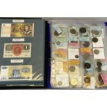 BRITISH & WORLD COINS & BANK NOTES COLLECTION - in two sleeved albums, 150 plus coins, 2 x Britain's