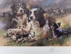 MICK CAWSTON coloured limited edition (33/850) print - sheepdogs and sheep with handlers in the