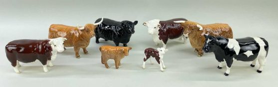 ASSORTED BESWICK MODELS OF CHAMPION CATTLE BREEDS, bulls, cows and two calves (8)