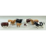 ASSORTED BESWICK MODELS OF CHAMPION CATTLE BREEDS, bulls, cows and two calves (8)