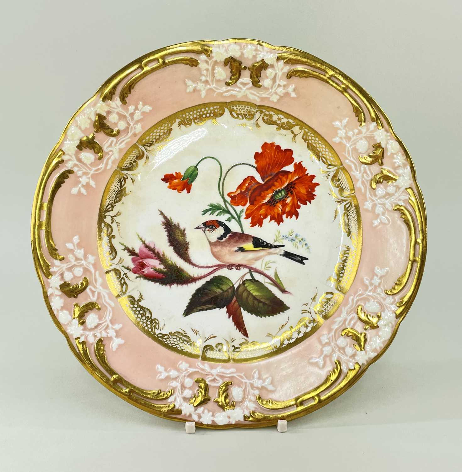 ENGLISH PORCELAIN ORNITHOLOGICAL PLATE of cruciform with moulded border, centred study of