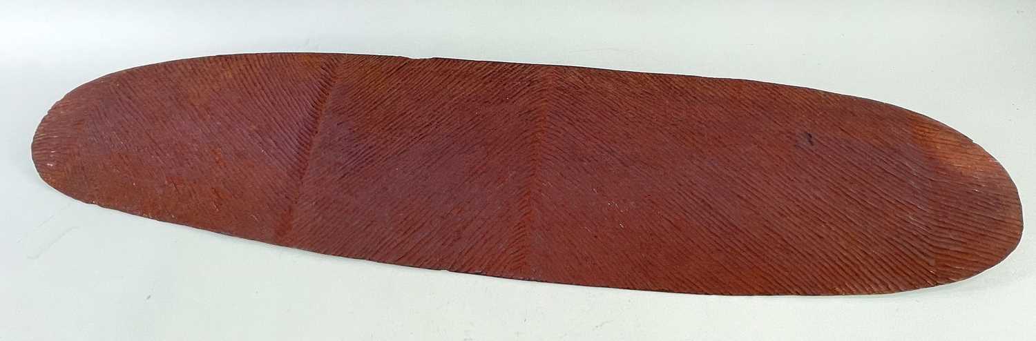 WESTERN AUSTRALIA ABORIGINE SHIELD, front, back and handle all incised with narrow grooves in