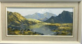 CHARLES WYATT WARREN oil on board - titled verso and with artist's stamp, 'Snowdon from Llyn
