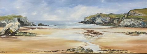 JILL MICKLE oils on board (2) - Porth Defarch Anglesey, signed and dated '78 and '80, 29 x 80cms