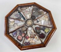 19TH CENTURY GLASS DISPLAY CASE OF SHELLS & MINERALS walnut encased, of octagonal form with lift-off