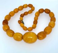 GRADUATED STRING OF 'BUTTERSCOTCH' AMBER BEADS, 59cms long, 92.0gms Provenance: private collection