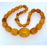 GRADUATED STRING OF 'BUTTERSCOTCH' AMBER BEADS, 59cms long, 92.0gms Provenance: private collection