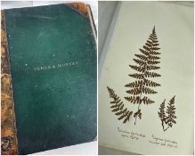 TWO 19TH CENTURY ALBUMS OF PRESSED MOSSES & FERNS circa 1858, very well stocked, with handwritten