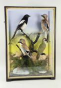 MIXED CASE OF TAXIDERMY BIRDS BY JEFFERIES OF CARMARTHEN, includes green woodpecker, magpie and