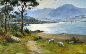 ‡ WARREN WILLIAMS watercolour - the Conwy River with sheep on the banks and the distant Carneddau