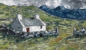 ‡ WYN HUGHES oil on card - whitewashed hillside cottage, entitled verso 'Bwthyn Dolgarrog',