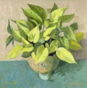 BRYN RICHARDS oil on board - still-life of plant, signed and dated January 1999Dimensions: 45 x