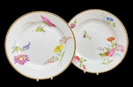 PAIR OF SWANSEA GLASSY PASTE PORCELAIN PLATES circa 1815, of circular non-moulded form, painted with
