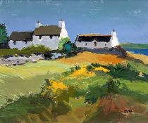 ‡ DONALD McINTYRE oil on board - row of whitewashed stone cottages, entitled verso on Attic