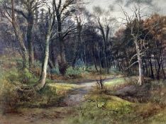 JOHN CUTHBERT SALMON watercolour laid to canvas - expansive woodland scene with footpath, believed